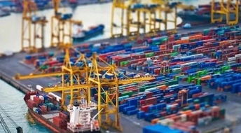 國內(nèi)貿(mào)易代理中指定貨的操作流程與風險提示